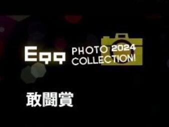 EGG PHOTO COLLECTION! 2024　『敢闘賞』受賞！　