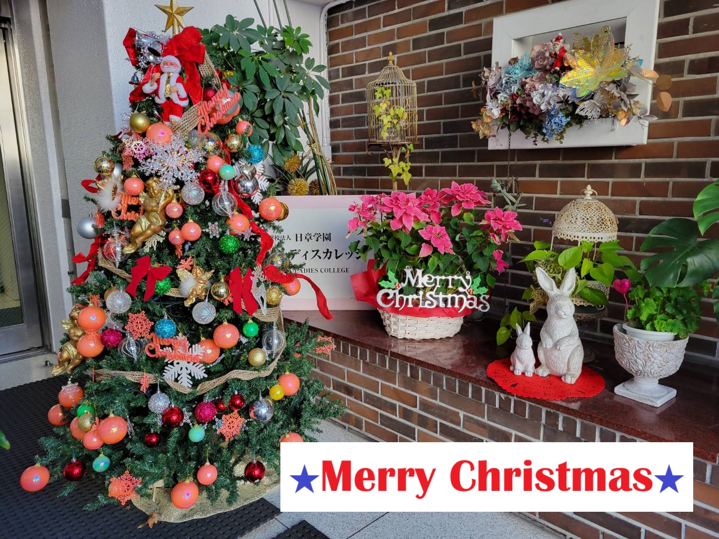 クリスマスツリー　キラキラです♥