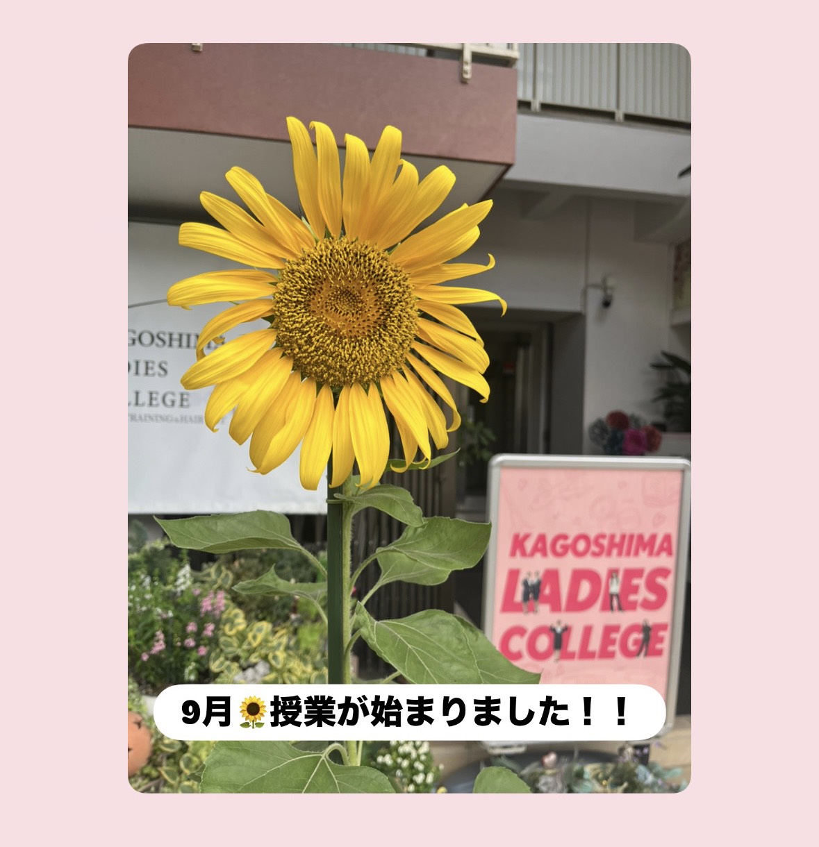 🍃9月　授業がスタートしました！
